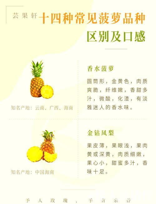 免费下载：菠萝视频破解版最新版本详解